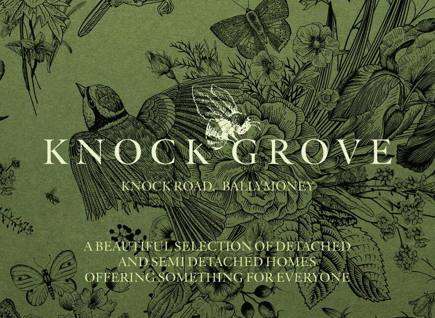 Knock Grove, Knock Road, Ballymoney photo