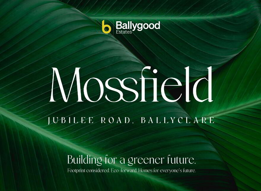 Mossfield, Jubilee Road, Ballyclare photo