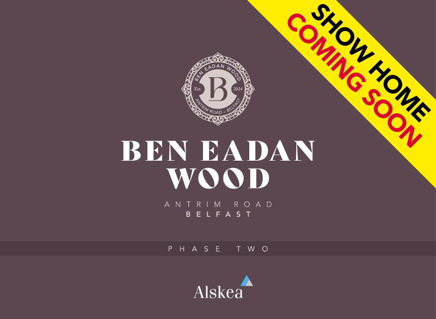 Ben Eadan Wood, Antrim Road, Belfast photo