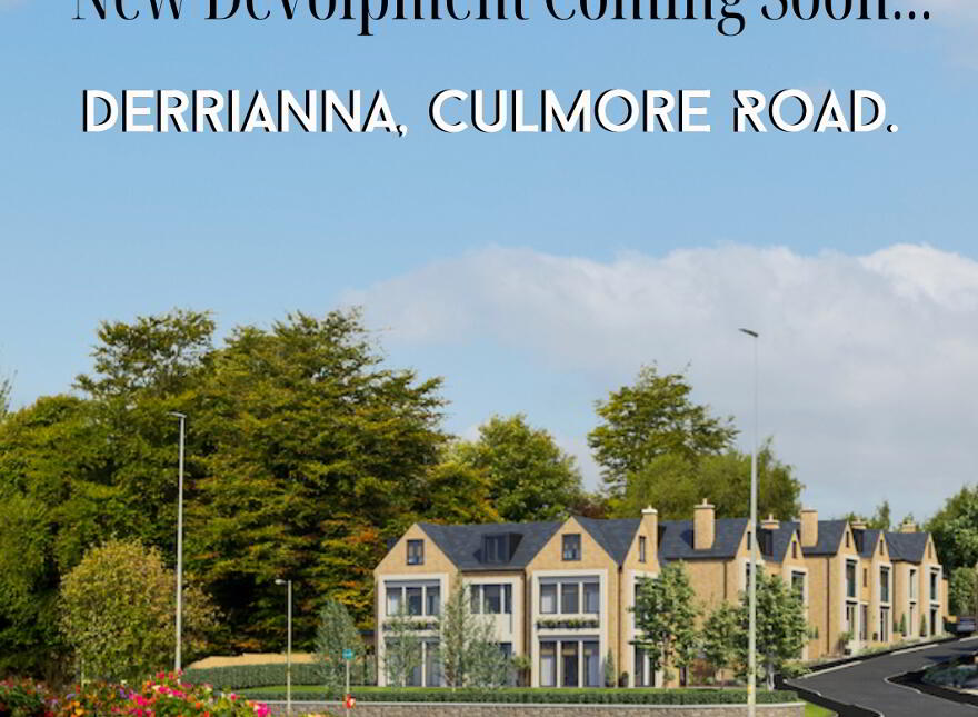 Derrianna, Culmore Road, Derry photo