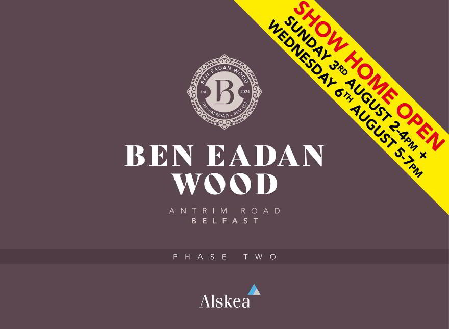 Ben Eadan Wood, Antrim Road, Belfast photo
