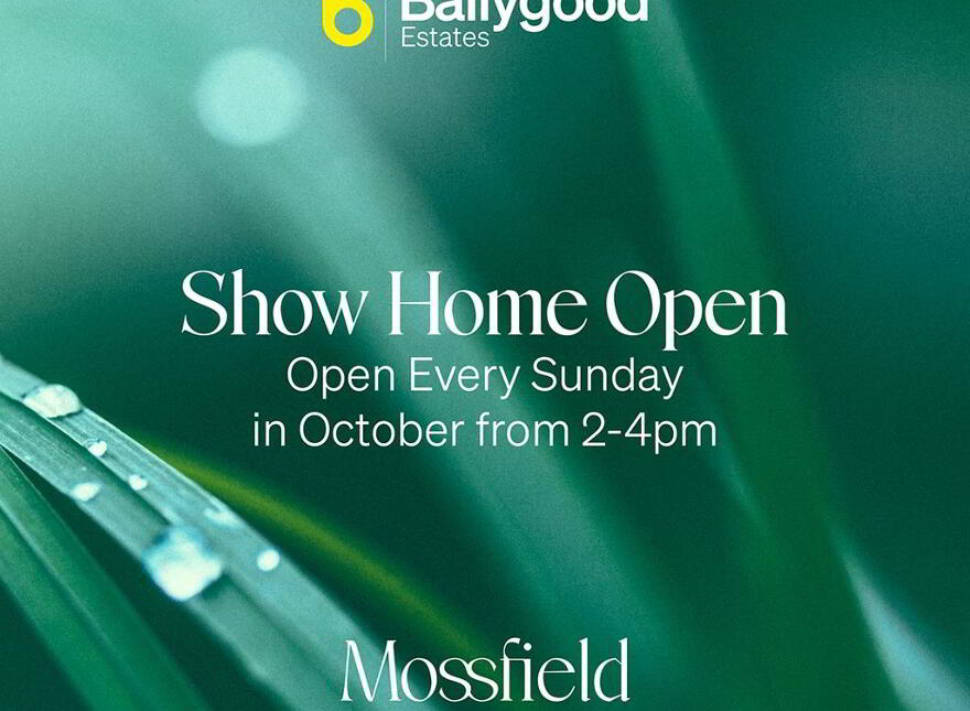 Mossfield, Jubilee Road, Ballyclare