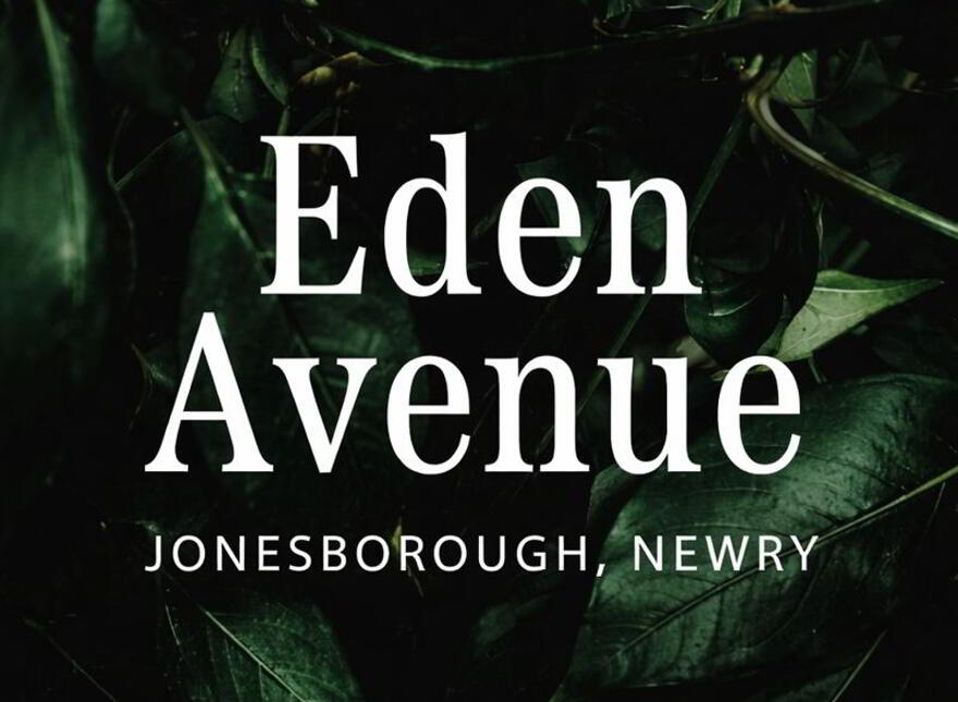 Eden Avenue, Jonesborough, Newry photo
