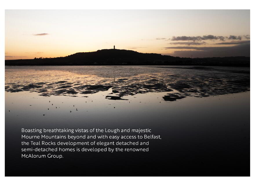 Teal Rocks, Newtownards