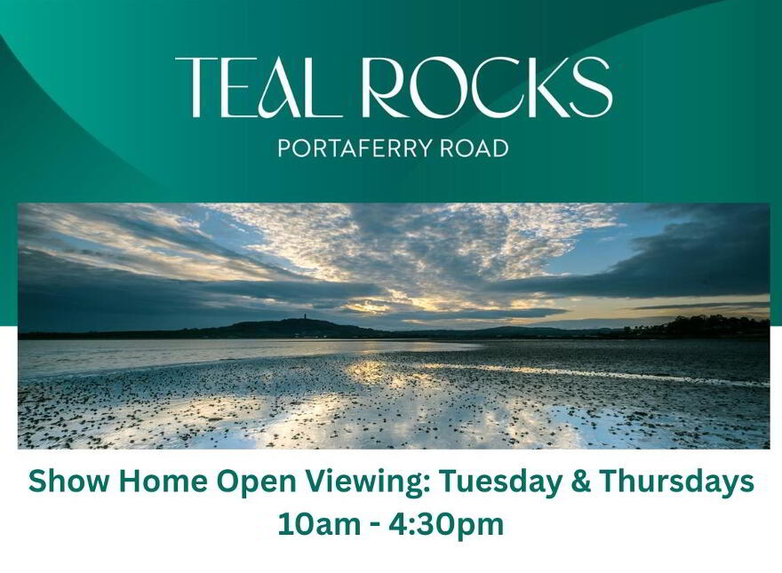 Teal Rocks, Newtownards