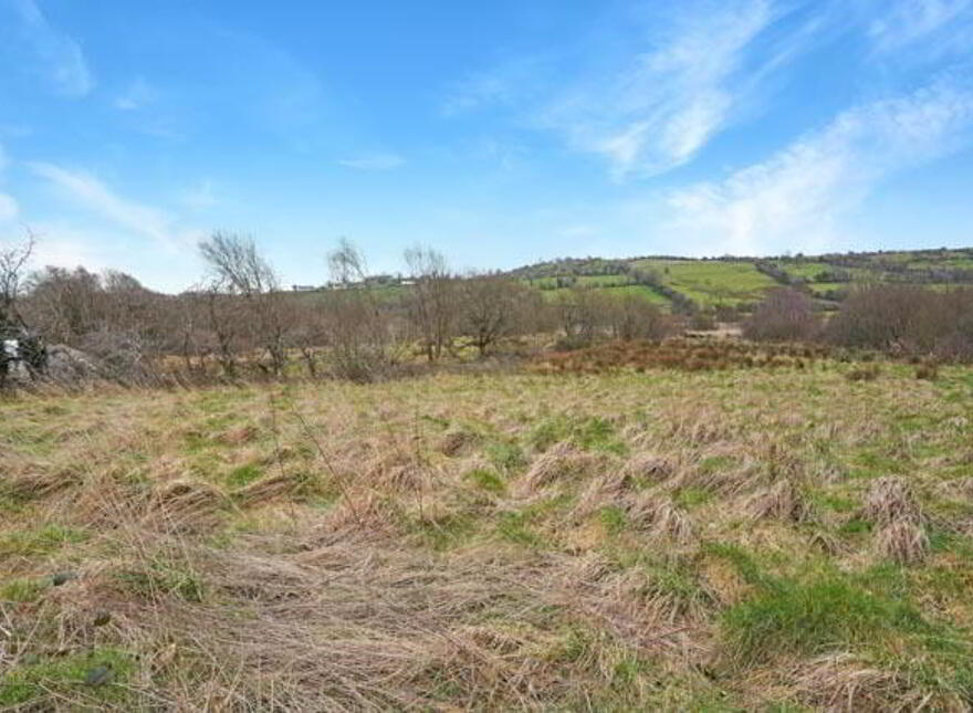 Derry, Shercock