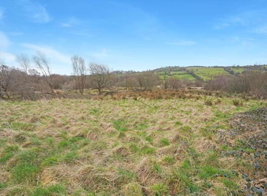 Derry, Shercock