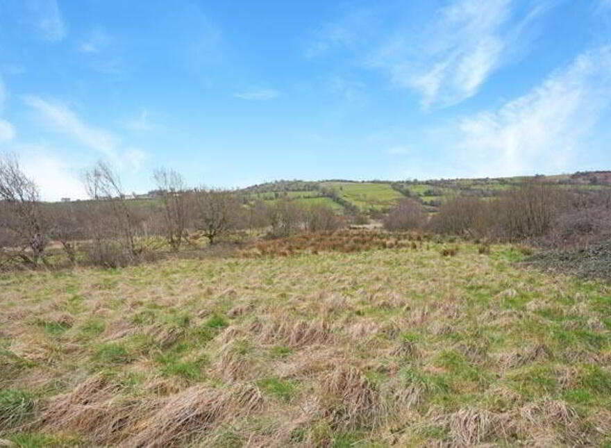 Derry, Shercock
