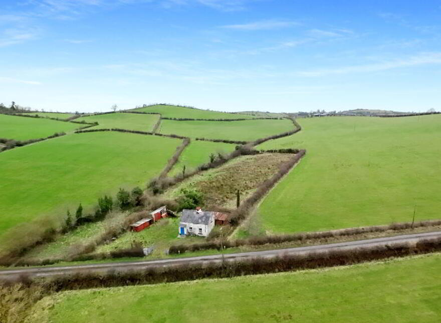 Drumad, Shercock, A81A060