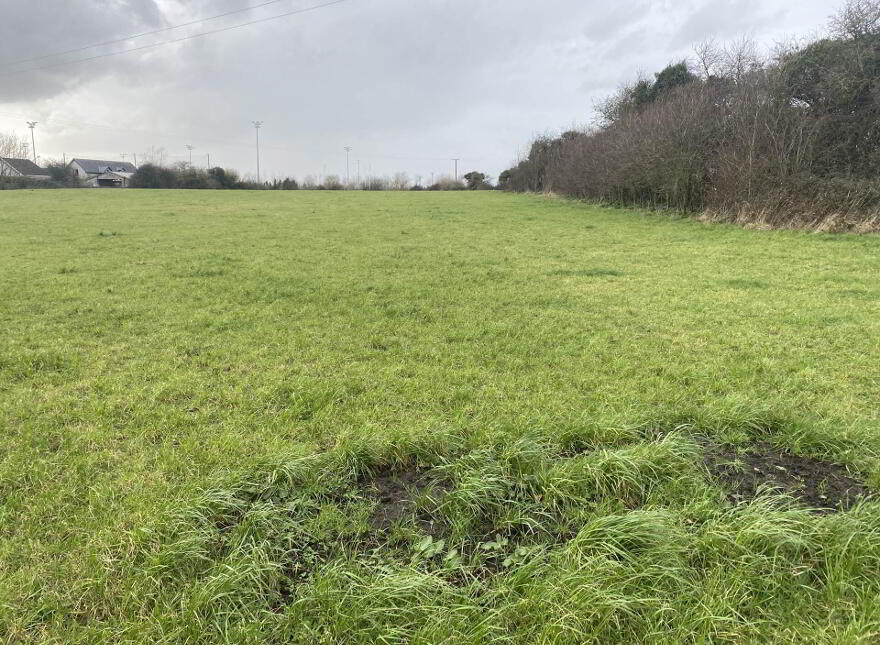 Coonagh