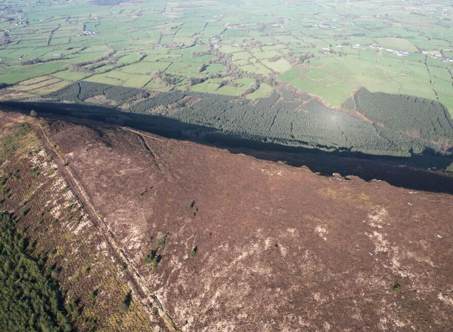Glenlara, Martinstown, Kilmallock