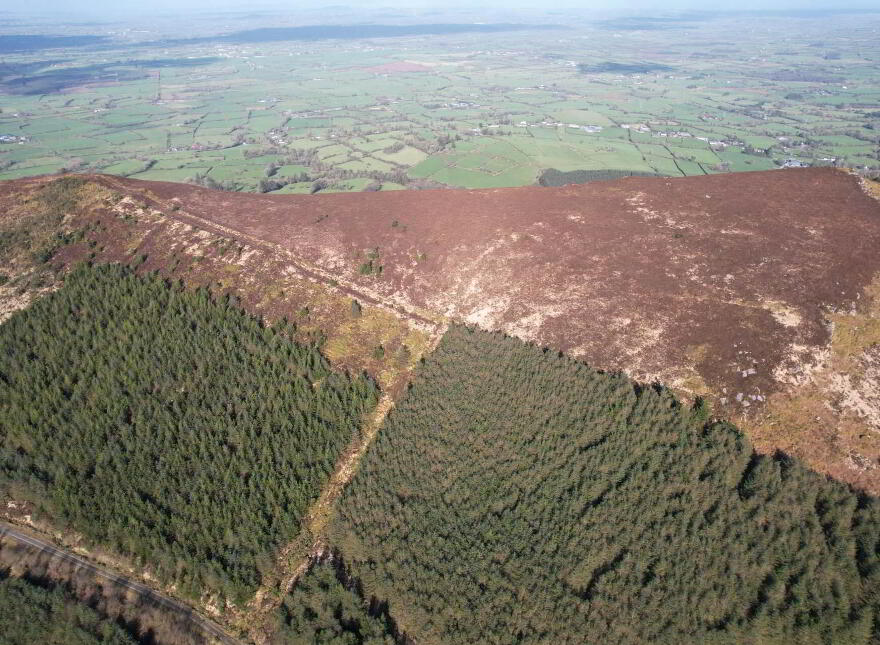 Glenlara, Martinstown, Kilmallock