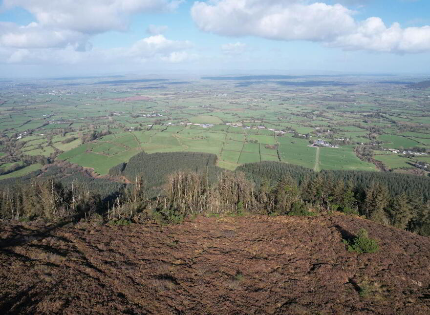 Glenlara, Martinstown, Kilmallock
