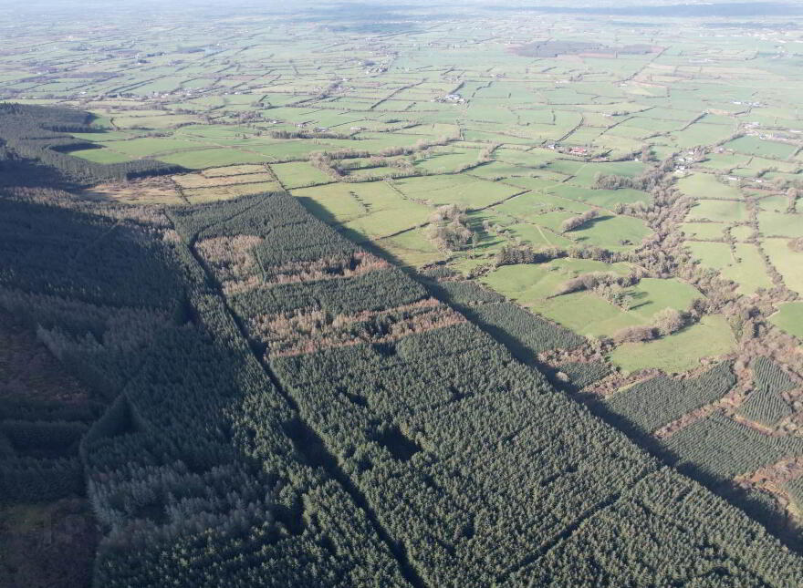 Glenlara, Martinstown, Kilmallock