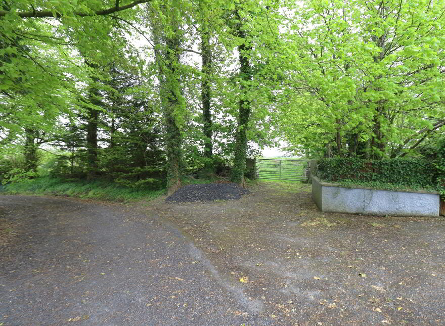 Springfield House, 145 Moyad Road, Kilkeel, BT34 4HJ