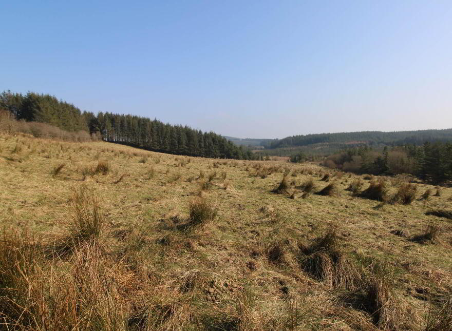 Curreeny Cross Roads, Kilcommon, Thurles