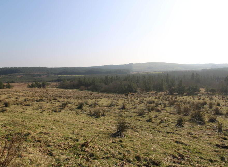 Curreeny Cross Roads, Kilcommon, Thurles