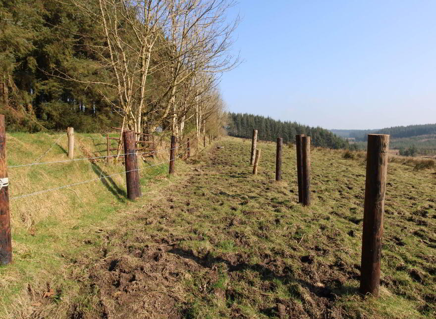Curreeny Cross Roads, Kilcommon, Thurles