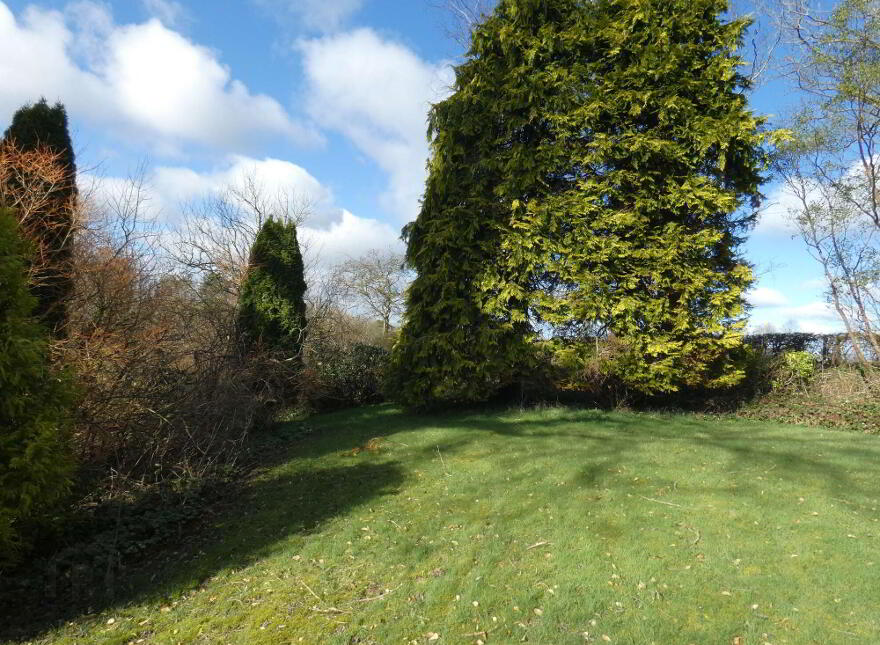 20 Drumskea Road, Ballymoney, BT53 7JB