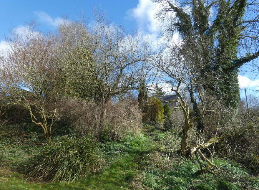 20 Drumskea Road, Ballymoney, BT53 7JB