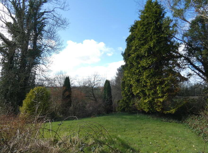 20 Drumskea Road, Ballymoney, BT53 7JB