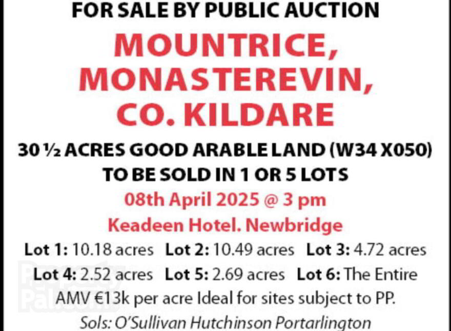 30.6 Acres, Good Land, Mountrice, Monasterevin, W34X050 photo