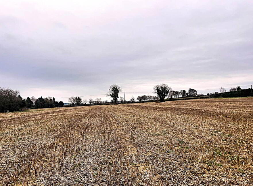 30.6 Acres, Good Land, Mountrice, Monasterevin, W34X050