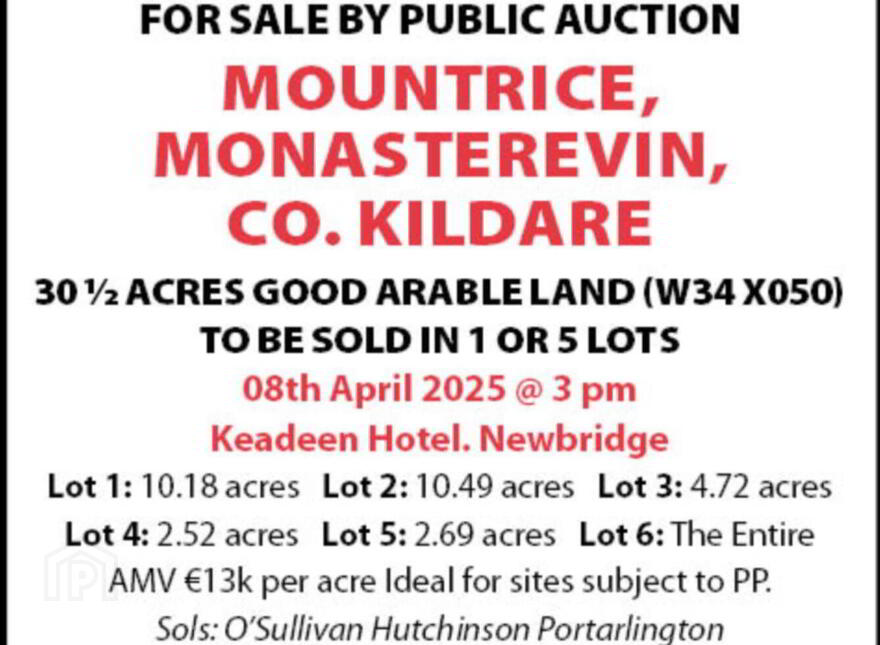 30.6 Acres, Good Land, Mountrice, Monasterevin, W34X050