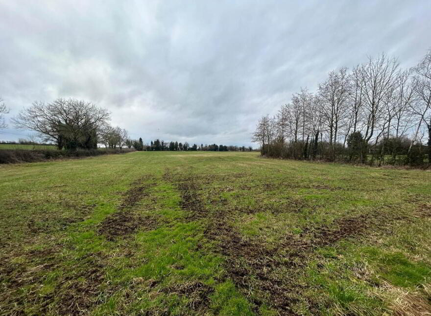 30.6 Acres, Good Land, Mountrice, Monasterevin, W34X050