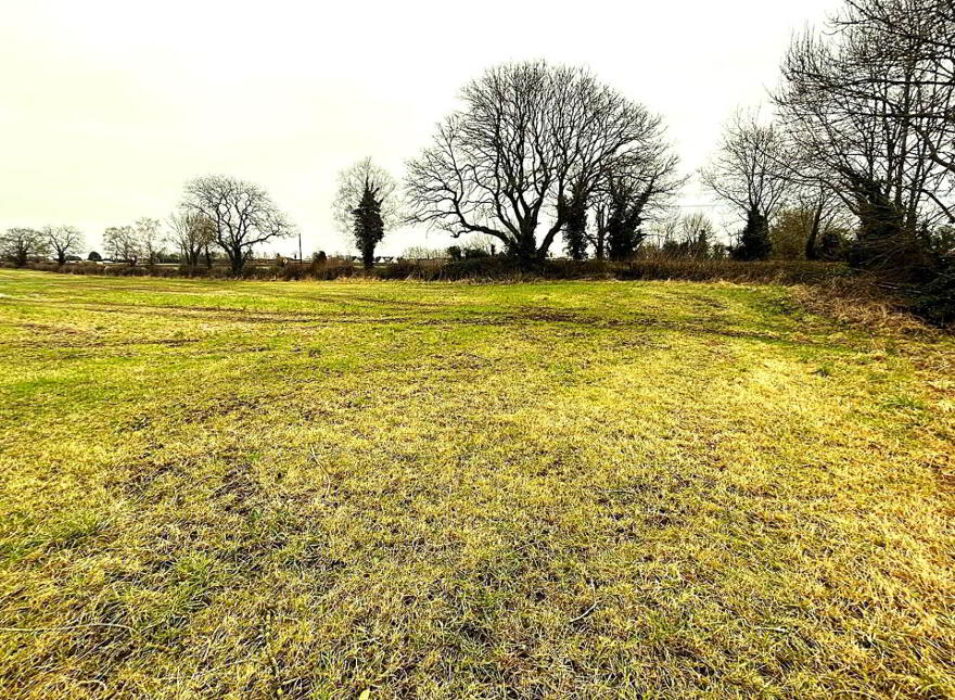 30.6 Acres, Good Land, Mountrice, Monasterevin, W34X050