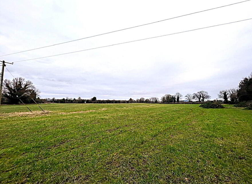 30.6 Acres, Good Land, Mountrice, Monasterevin, W34X050