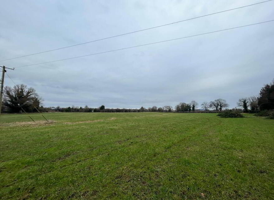 30.6 Acres, Good Land, Mountrice, Monasterevin, W34X050