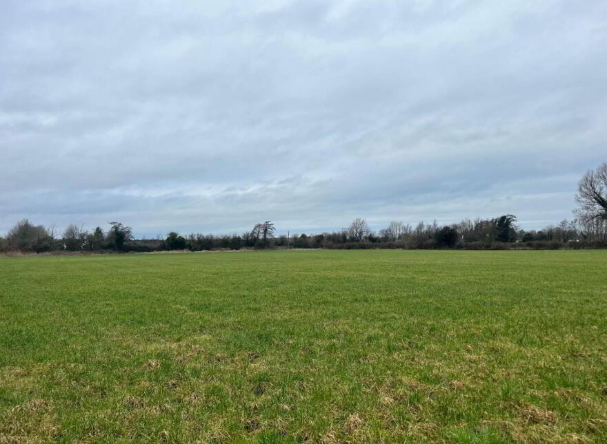 30.6 Acres, Good Land, Mountrice, Monasterevin, W34X050