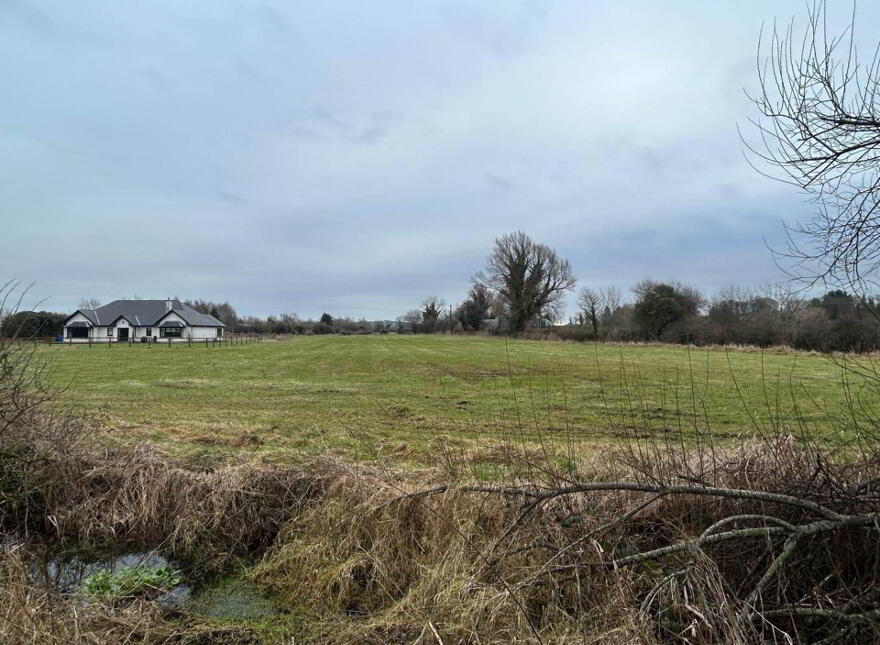 30.6 Acres, Good Land, Mountrice, Monasterevin, W34X050