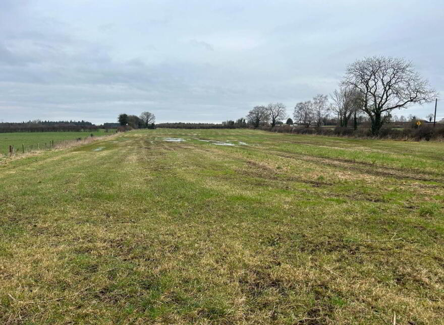 30.6 Acres, Good Land, Mountrice, Monasterevin, W34X050