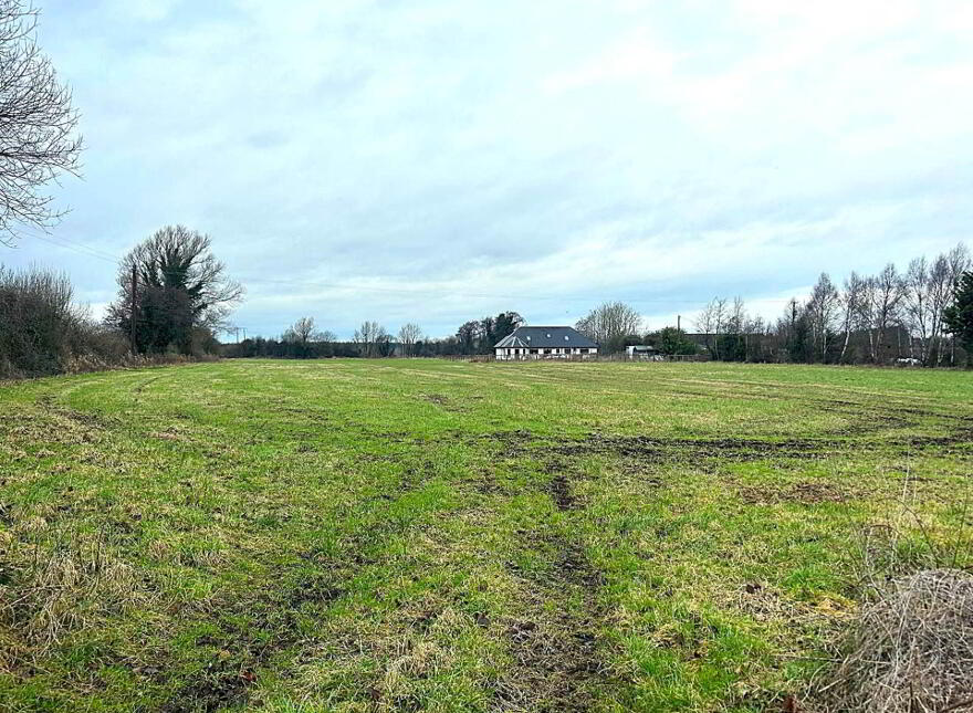 30.6 Acres, Good Land, Mountrice, Monasterevin, W34X050
