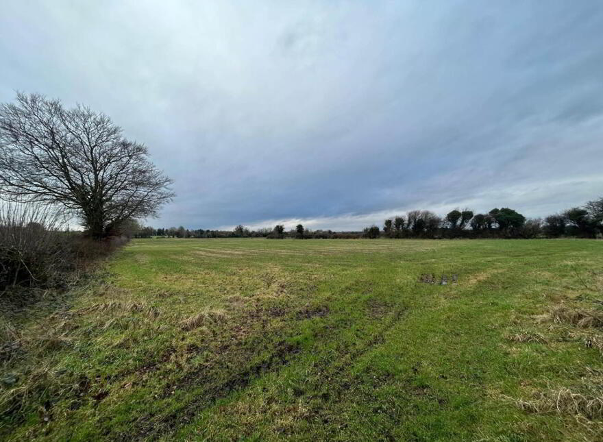 30.6 Acres, Good Land, Mountrice, Monasterevin, W34X050
