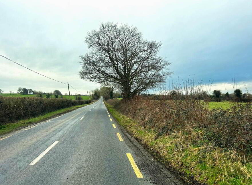 30.6 Acres, Good Land, Mountrice, Monasterevin, W34X050