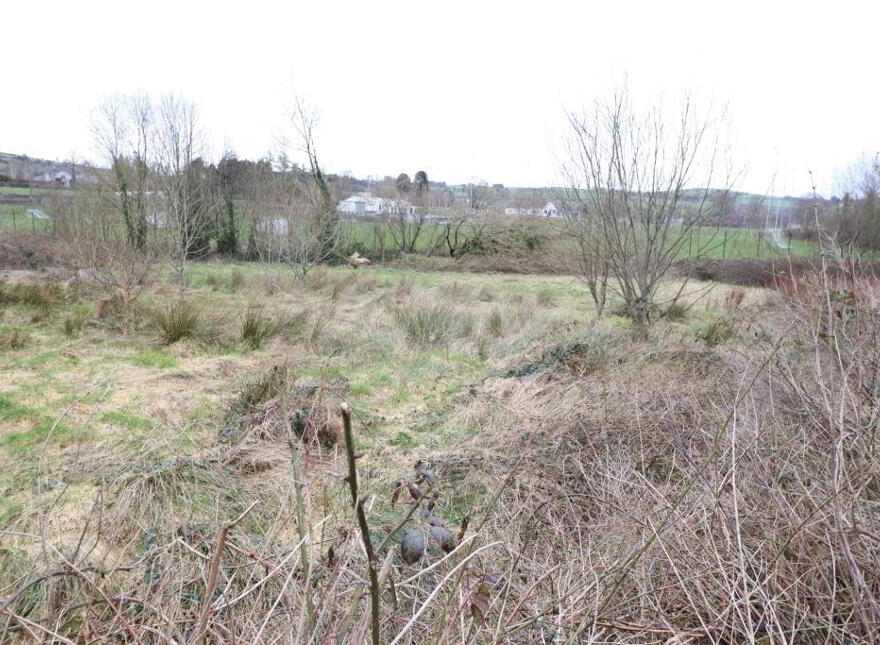 Circa, 5 Of An Acre Roadside, Plot, Galbally, AT