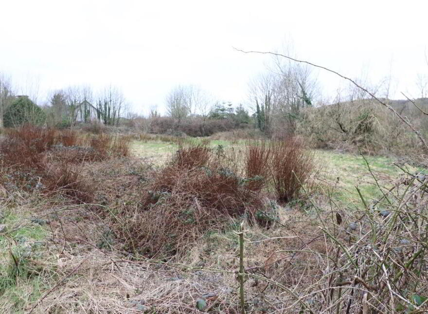 Circa, 5 Of An Acre Roadside, Plot, Galbally, AT