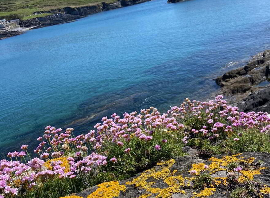 Cúrach Bán, 5 Tragumna Holiday Homes, Skibbereen, P81WF21