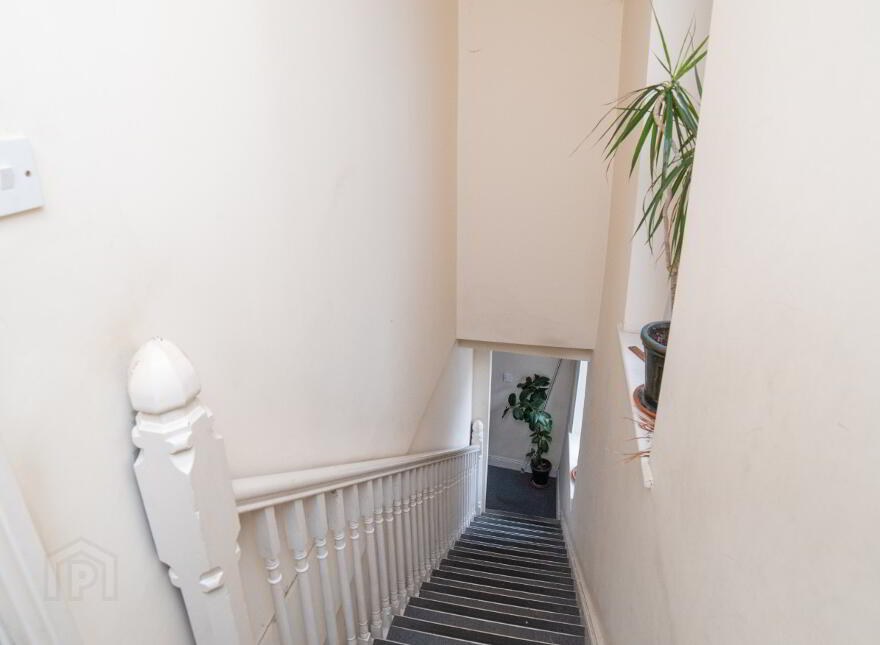 T/A Crystal Earth, 65 65 Thomas Davis, Mallow, P51Y796