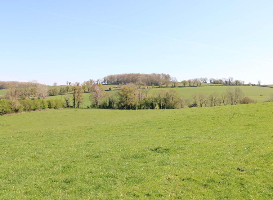 1, Johnstown, Puckane, Nenagh