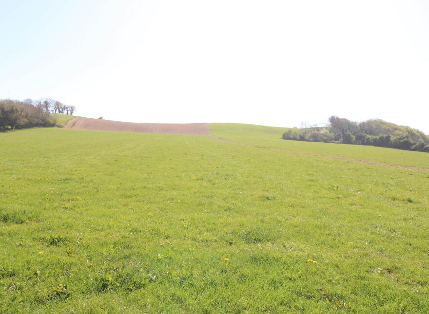 2, Johnstown, Puckane, Nenagh