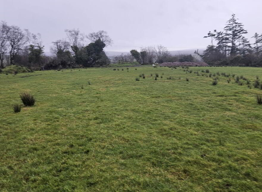 C. 20.1 Acre Holding, Glen Road, Tempo, BT94 3AB