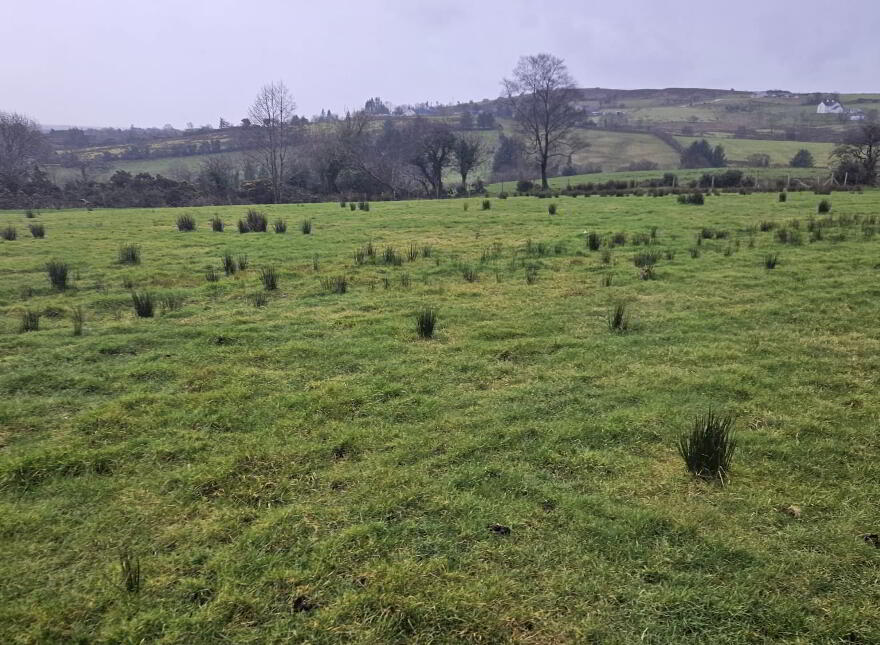 C. 20.1 Acre Holding, Glen Road, Tempo, BT94 3AB