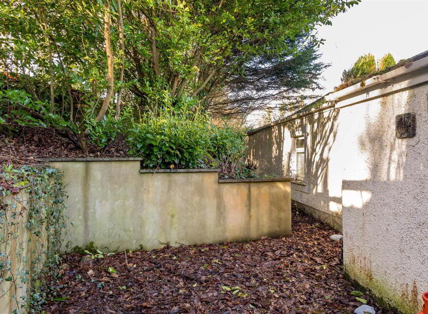 62 Belfast Road, Saintfield, BT24 7EX