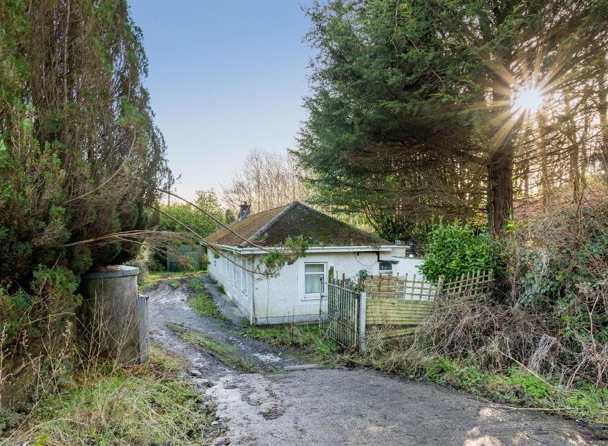 62 Belfast Road, Saintfield, BT24 7EX
