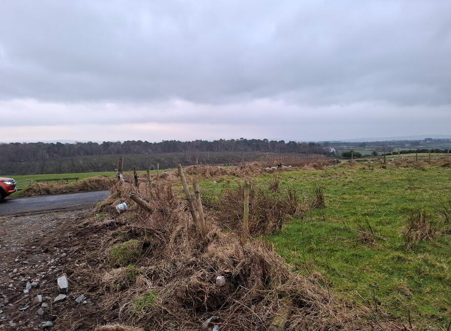Carrry Road, Muff