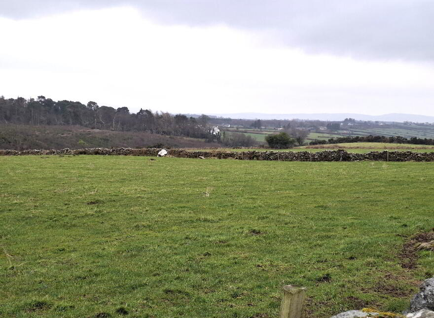 Carrry Road, Muff